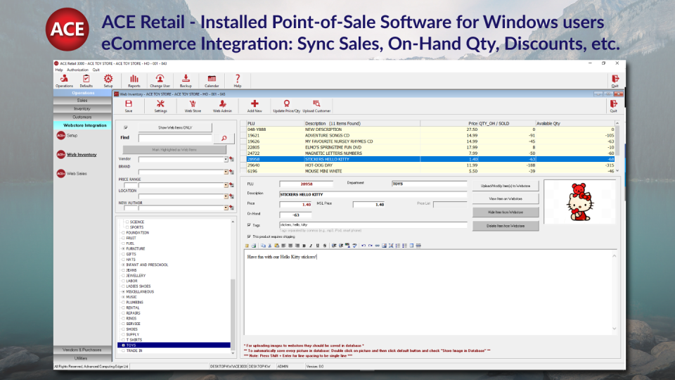 screenshot of ACE Retail POS